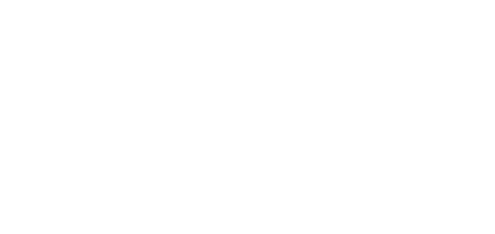 Vilson Vision Studio